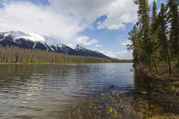Honeymoon Lake in the Spring