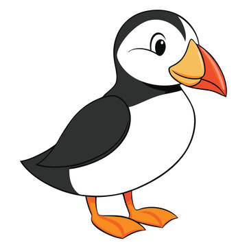 recommend clip art: Puffin bird. Vector illustration of colorful puffin bird isolated on white. Flat design