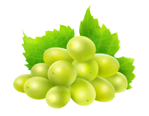 Fresh green grapes with vibrant leaves isolated on a white background