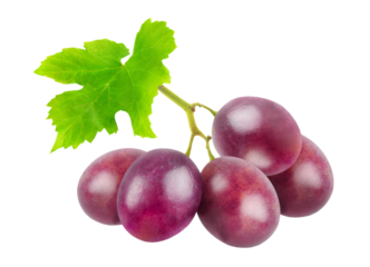 Purple grapes with vibrant green leaf against a white background
