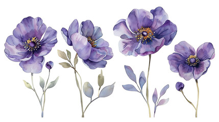 
Variation
31w


Hand painted watercolor purple flower set nature on white background. Watercolor artwork illustration for Valentine day, Mother day, wedding, save date card, birthday or annivers