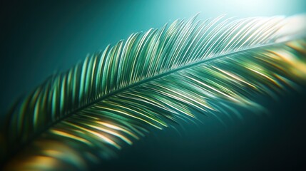Fototapeta premium A single palm leaf illuminated by warm light against a teal backdrop.