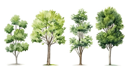 Set of watercolor green tree isolated on white background for landscape and architecture drawing, elements for environment and garden, botanical for section in spring