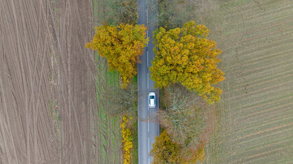 Drone view of the road, autumn