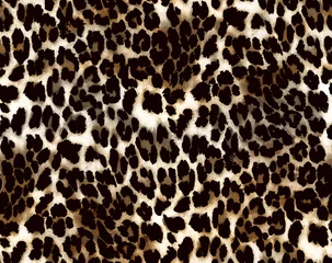  animal skin pattern. leopard print. © isa