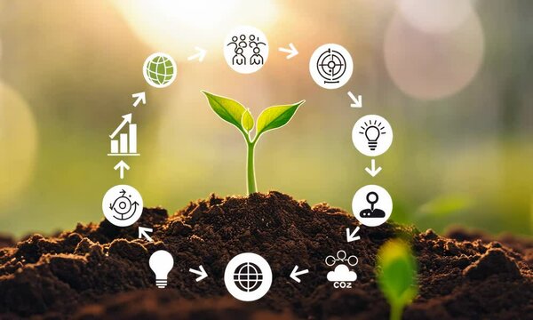 green seedling emerging from rich soil, surrounded by circular eco-themed icons symbolizing growth, sustainability, energy, carbon dioxide reduction, and environmental impact