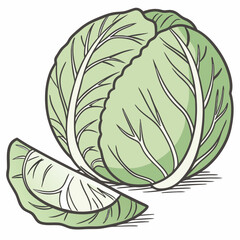 cabbage isolated on white