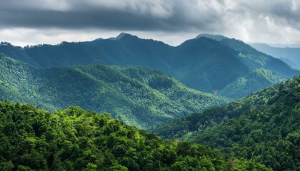 Obraz premium In the Shadow of Giants: Dense Forests and Overcast Peaks