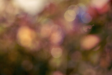 ressource graphique avec un superbe bokeh de lumière douces avec une pointe rosé, en...