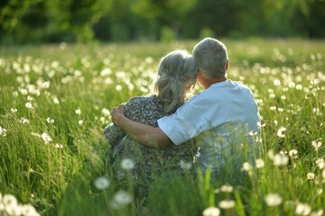An elderly couple is sitting on the grass in a park rear view