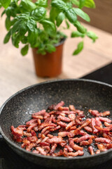 Fried small pieces of smoked bacon in frying pan with basil plant in background.