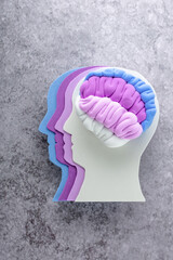 The silhouette human head with purple different shades and brain on a gray background. Problems with mental health, disorder of the nervous system, changes in behavior. top view