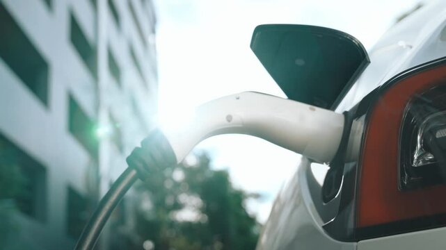 Slow motion EV electric car charging in green sustainable city outdoor garden in summer. Urban sustainability lifestyle by green clean rechargeable energy of electric BEV vehicle innards