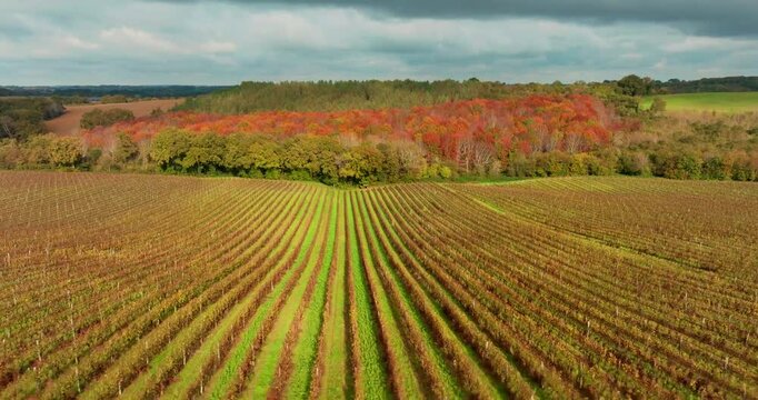 Longue avanc&eacute;e vers la for&ecirc;t color&eacute;e