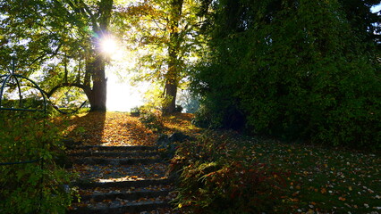 Nachmittagssonne im Schlosspark