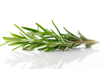 Fototapeta premium Fresh rosemary sprig resting on a clean surface, showcasing vibrant green color and delicate leaves under natural light. Generative AI