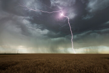 A lightning bolt flashes across the sky and strikes a wheat field in the American Great Plains.
