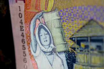 LEI money banknotes, detail photo of RON