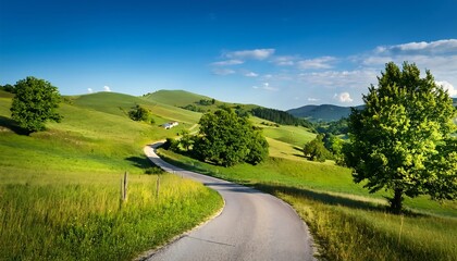 Fototapeta premium A narrow rural road winds through grassy hills and scattered trees under a blue sky in _1(447)