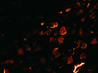 Ember from a campfire