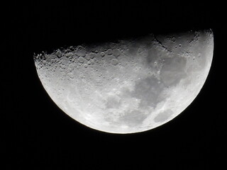 Naklejka premium moon in the night