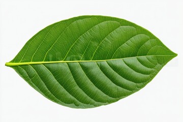 Fototapeta premium Strawberry flower with green leaves on an organic strawberry plant. Close-up. Beautiful simple AI generated image