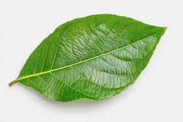 Obraz premium A White-Lined Sphinx Moth (Hyles lineata) pollinating a purple Petunia.. Beautiful simple AI generated image