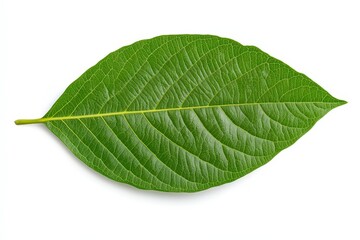 Obraz premium A White-Lined Sphinx Moth (Hyles lineata) pollinating a purple Petunia.. Beautiful simple AI generated image