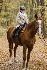 Fototapeta premium The girl is riding a horse. Horse riding club