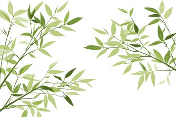 Elegant Green Leaves Composition with Delicate Foliage on a Clean White Background Perfect for Nature-Themed Designs and Botanical s