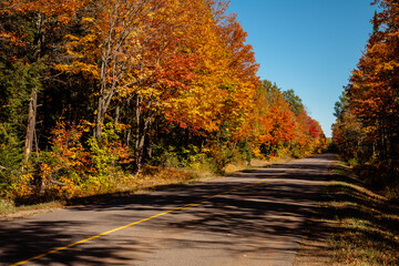 Obraz premium Autumn colors shine against the blue sky in the afternoon sunshine along a Highway B in Vilas County, northern Wisconsin