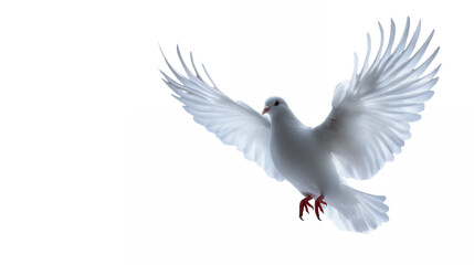 Fototapeta premium White dove in flight, spread wings, ethereal, peace symbol, graceful motion, soft lighting, pure white feathers, red feet, against light background, heavenly imagery, spiritual symbolism, freedom