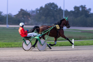 Racing horses trots and rider on a track of stadium. Competitions for trotting horse racing. Horses...