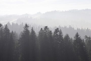 Foggy morning in mountainous terrain. Villages in the distance.