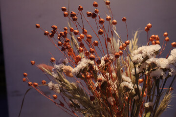 Dried Floral Arrangement with Warm Lighting