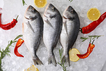 Sea food. Fresh raw fish, lemons, chili and rosemary on ice cubes, flat lay