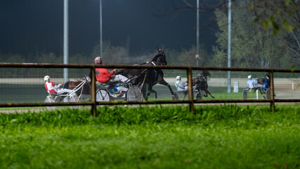 Fototapeta premium Racing horses trots and rider on a track of stadium. Competitions for trotting horse racing. Horses compete in harness racing. Horse runing at the track with rider. 