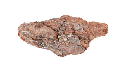 One piece of tree bark on white background, top view