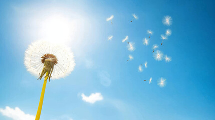 "A dandelion with its seeds drifting away in the wind against a clear blue sky, with ample copy space."






