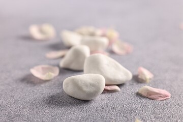 Spa stones and petals on grey table, closeup