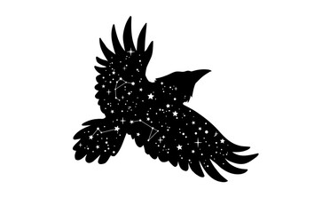 Black silhouette of a flying bird decorated with white stars