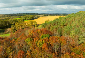 Obraz premium Campagne d'automne