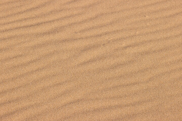Ripples in the sand, created by the wind of the morning, at Harrington Beach State Park, Belgium, Wisconsin in late October
