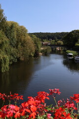 autumn in the park, Malestroit, France 