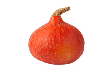 Hokaido pumpkin on white background