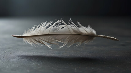 Feather drifting slowly through an empty space. Wallpaper