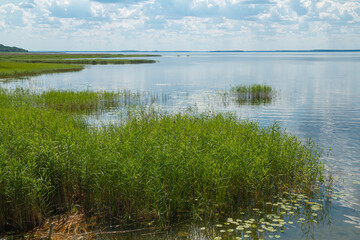 Widok na Jezioro Śniardwy, Największe Jezioro w Polsce | Scenic View of Śniardwy Lake, Poland's Largest Lake
