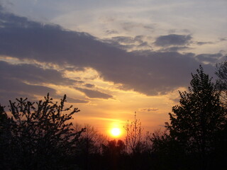 Colorful orange and yellow sky with clouds and sun during sunset over dark branches trees with spring shoots and leaves. Topics: weather, vegetation, meteorology, natural environment, season