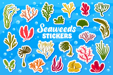Underwater seaweeds stickers pack. Vector patches set of vibrant underwater plants. Ocean and sea vegetation. Playful, aquatic adhesive decals for scrapbooking or creative decorations for kids hobbies