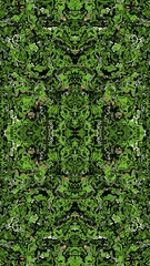abstract wallpaper, abstract background, fractal design